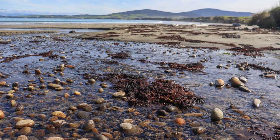 Hunt for Treasure at Gemstone Beach